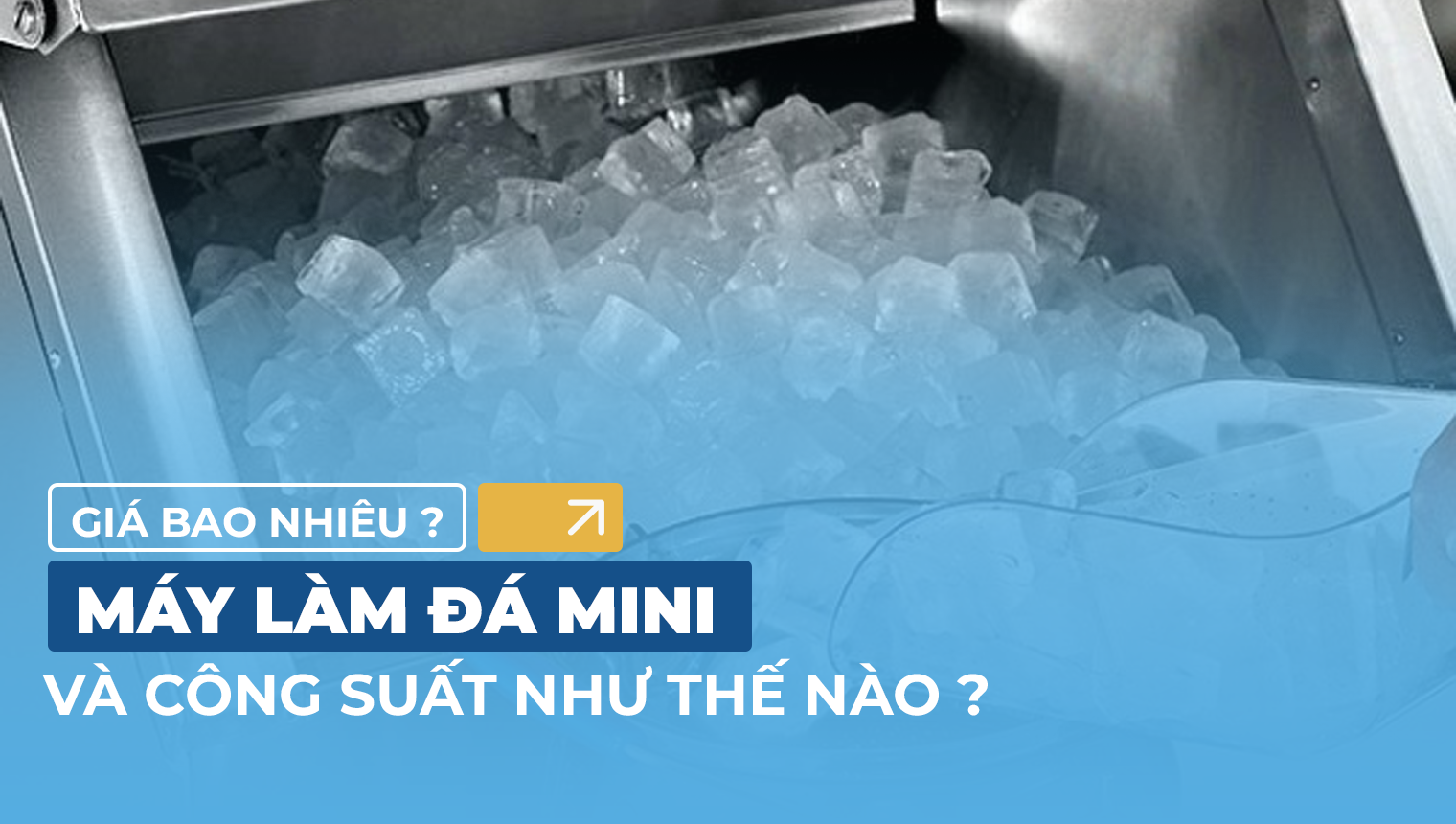 Máy làm đá mini bao nhiêu tiền?