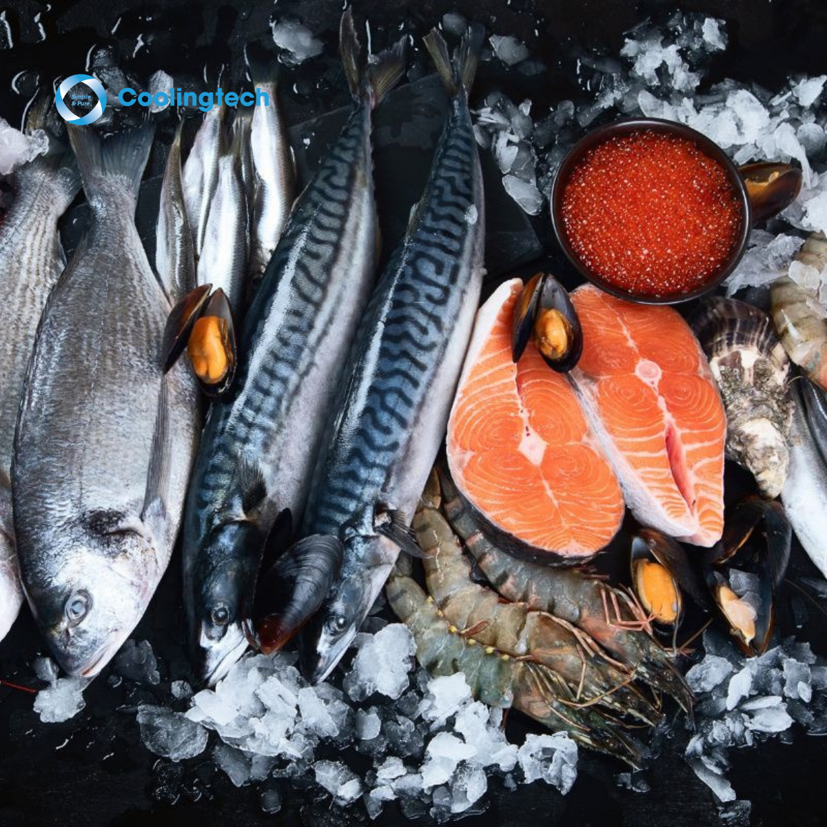 Đá Vảy Trong Ngành Thủy Sản