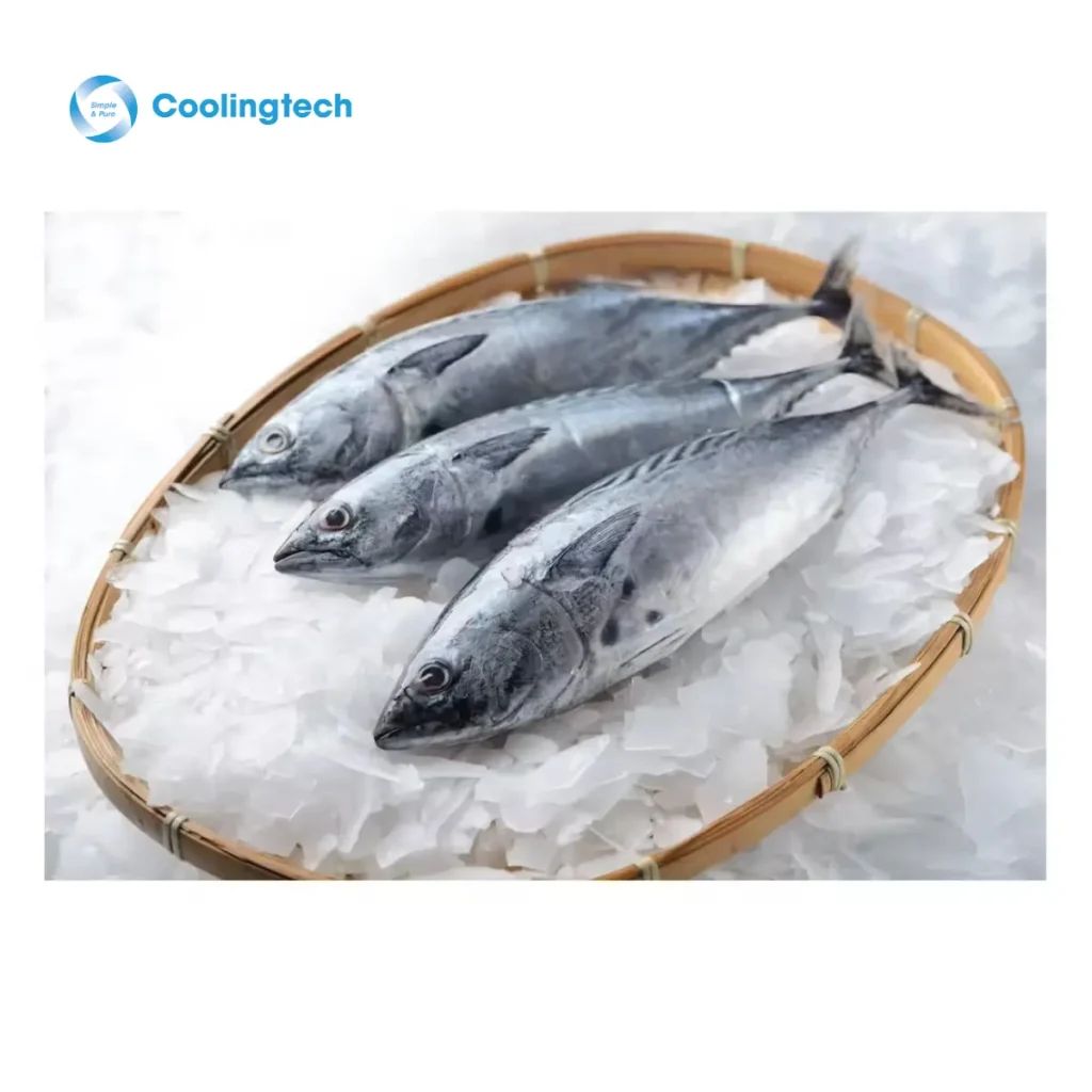 Đá Vảy Trong Ngành Thủy Sản