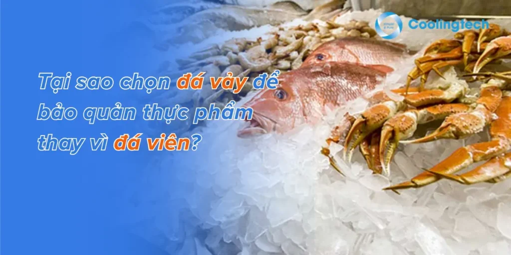 Tại sao chọn đá vảy để bảo quản thực phẩm thay vì đá viên