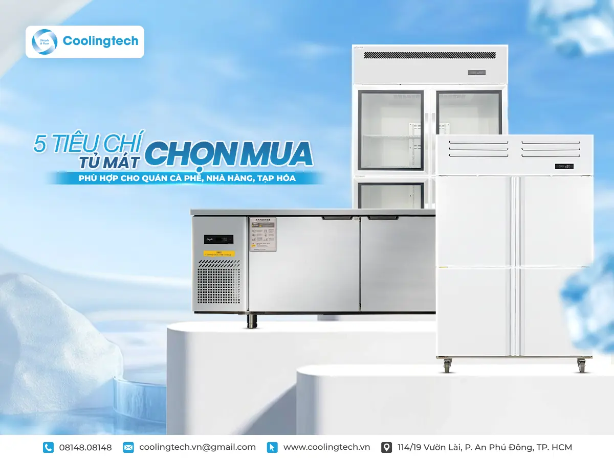 5 Tiêu Chí Chọn Mua Tủ Mát Phù Hợp Cho Quán Cà Phê, Nhà Hàng, Tạp Hóa (2026)