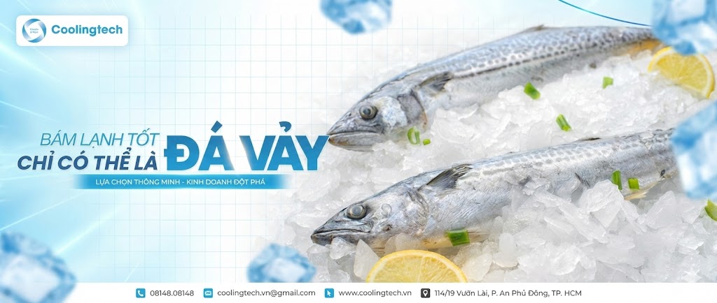 Bám Lạnh Tốt Chỉ Có Thể Là Đá Vảy: Lý Do Mọi Quầy Hải Sản Đều Chọn Loại Này