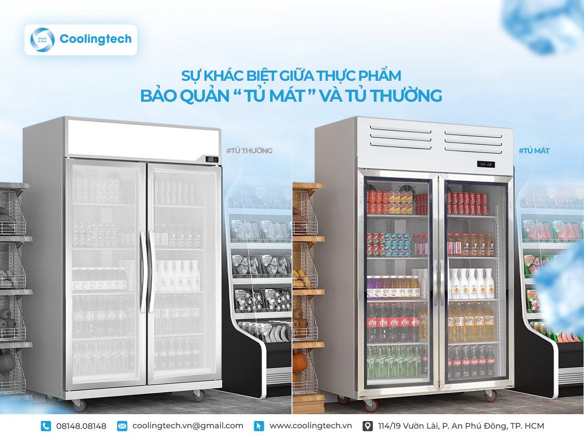 Sự Khác Biệt Giữa Thực Phẩm Bảo Quản Tủ Mát Và Tủ Thường