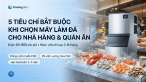 5 Tiêu Chí Bắt Buộc Khi Chọn Máy Làm Đá Cho Nhà Hàng & Quán Ăn